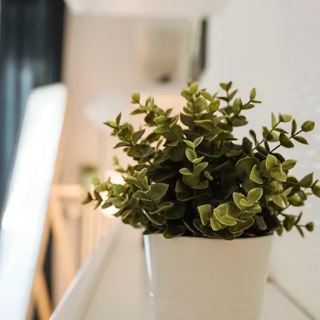 Apartment Intercontinental Cosy Studio | Universitate